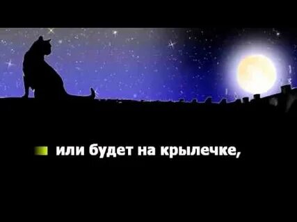 Песня на крышах москвы коты