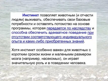 Как на поведение живого существа влияет инстинкт