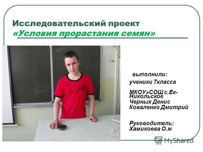 Исследовательский проект 1 7 класс Презентация "Роза из букета" (9 класс) по биологии скачать проект