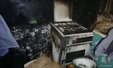 Чп отзывы
