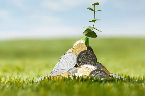 Our money