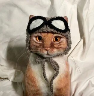 14 смешных