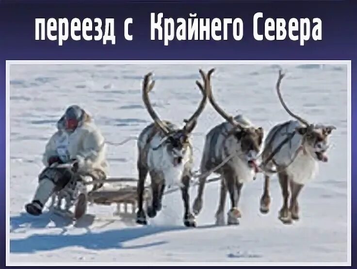 Сертификат переселение из крайнего севера. Районы крайнего севера россии. регионы крайнего севера и приравненные к ним. районы крайнего севера пермский край. районы крайнего севера список.