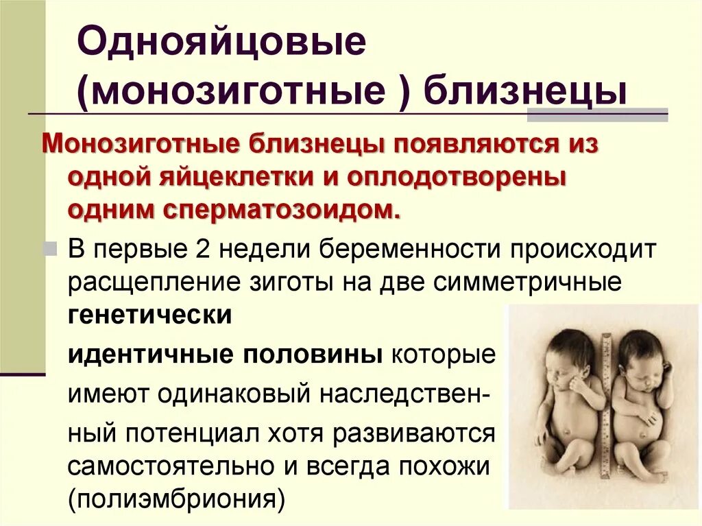 Однояйцевые близнецы пол. Монохориальная моноамниотическая многоплодная беременность. Монозиготная многоплодная беременность. Многозиготовые Близнецы. Однояйцевые (монозиготные) Близнецы.