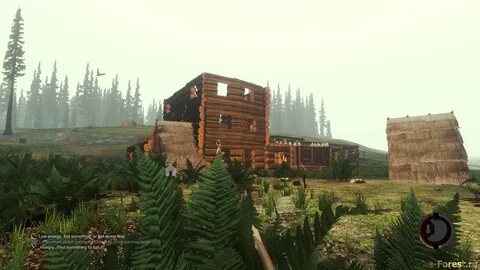 The forest постройки