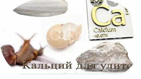 Смесь кальция