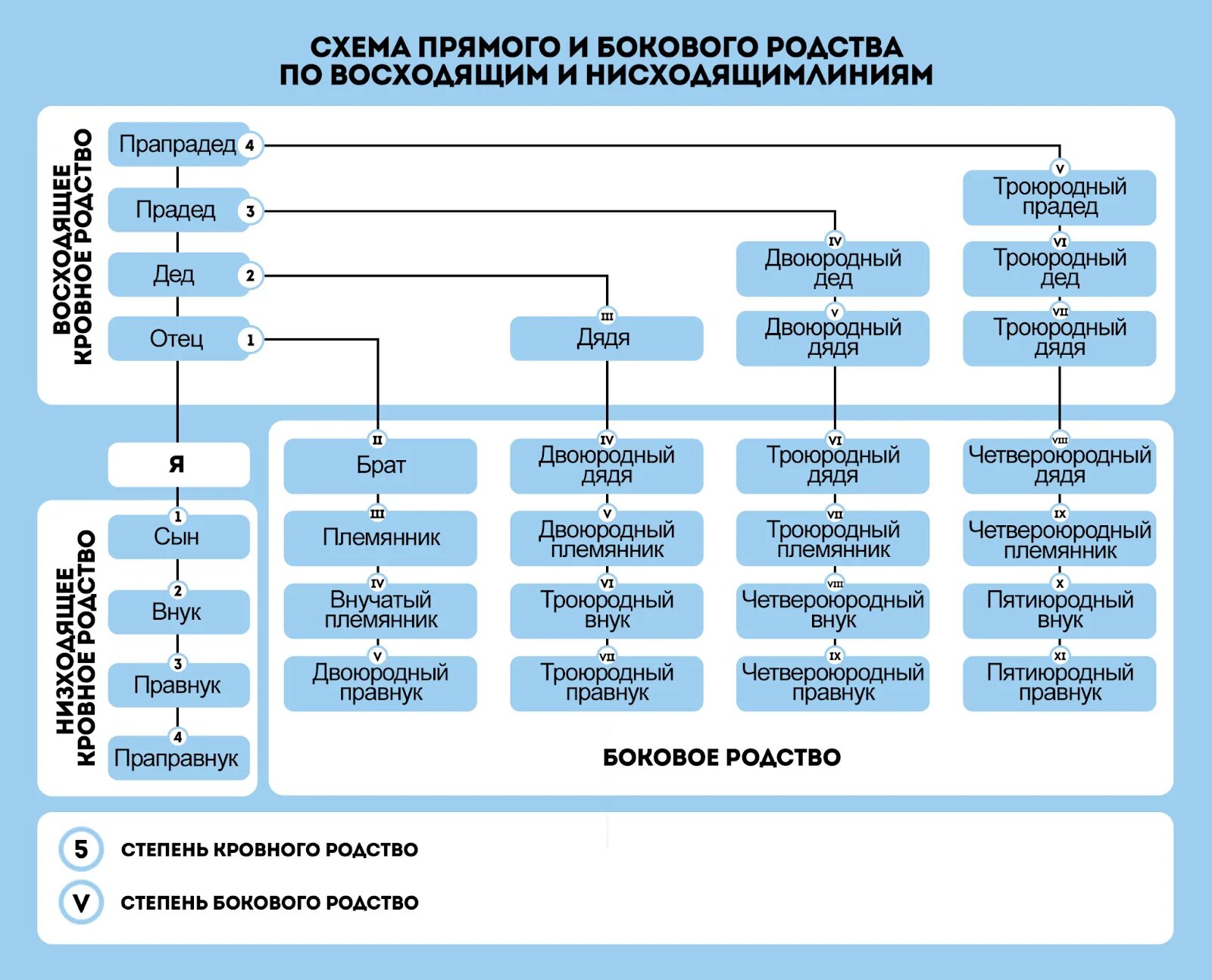 Кем является сын сестры. Схема родства. Степени родства схема. Схема родственных связей. Дочь двоюродной сестры.