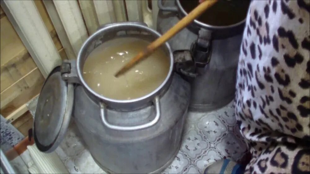 Бражка для самогона. Самогонный аппарат бидон молочный 20. Самогонный аппарат из доильного аппарата с сухопарником своими. Фляга для браги 40 литров. Фляга для браги.