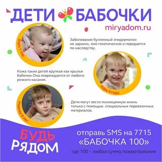 Фонд бабочки