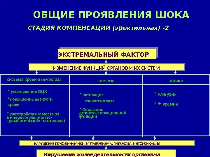 Эректильная стадия шока характеризуется. Эректильная фаза шока патогенез. Общие проявления шока. Стадия компенсации при шоке. Общие проявления шока стадия компенсации.