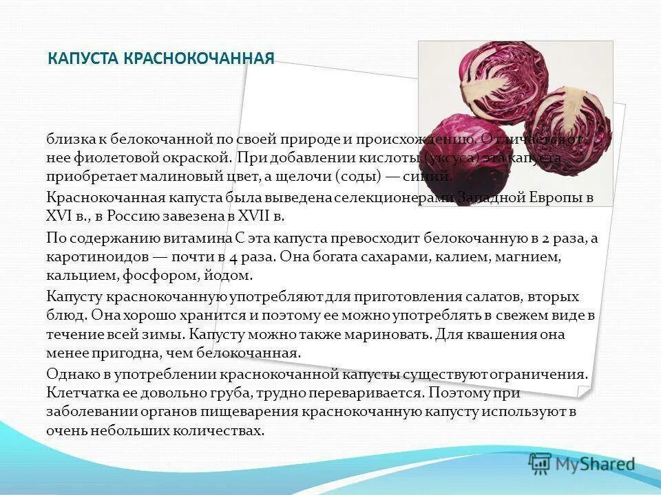 Галилей применял красную капусту в химических