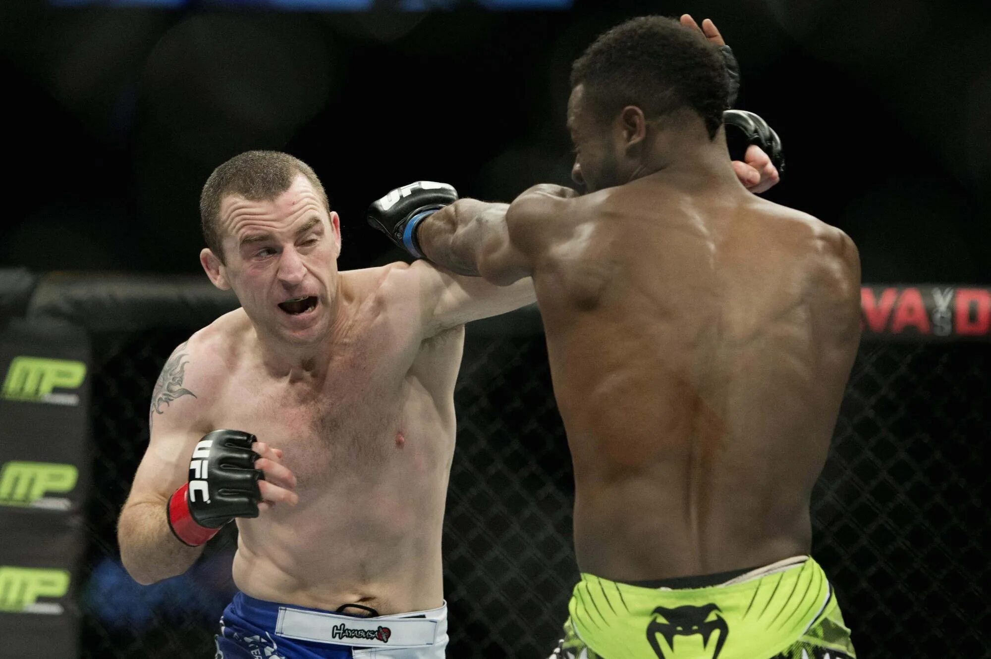 Альберт туменов рибок фотосессия. Альберт туменов леон эдвардс. Альберт туменов ufc. Нил сири боец. Туменов в юфс.