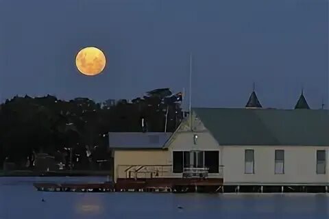 Moon place nft. Moon place nft