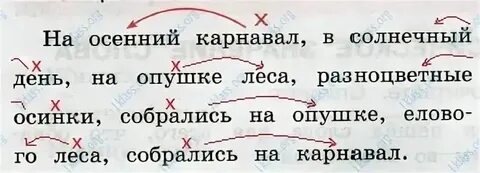 На опушке леса главное слово