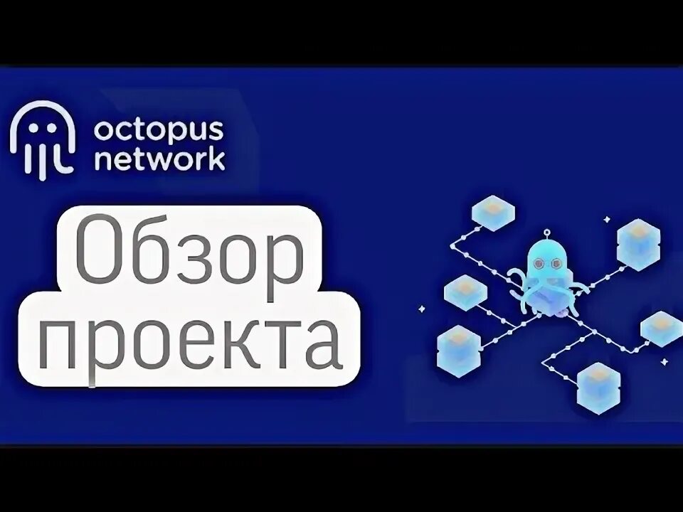 Oct network. Oct network