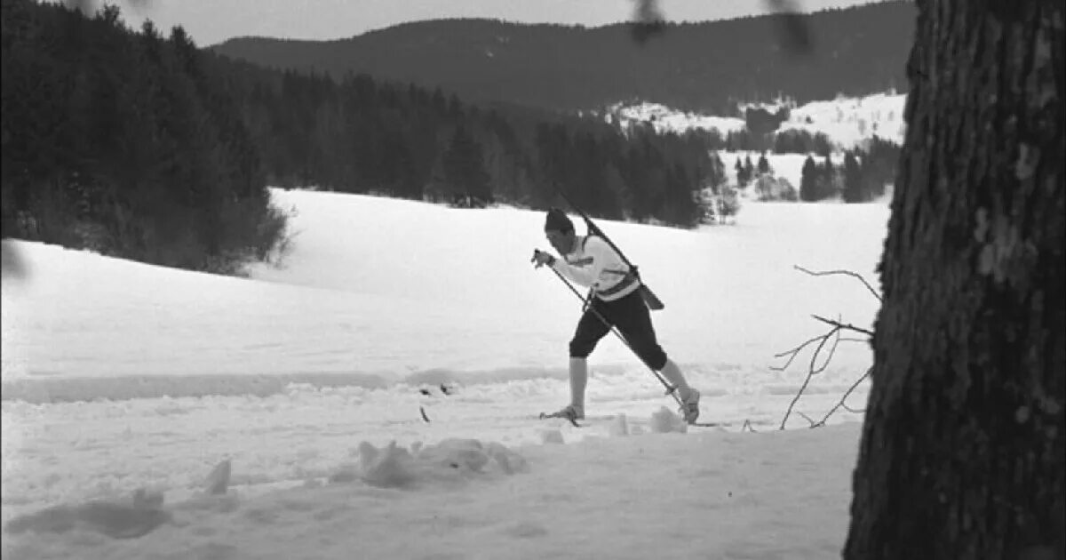 Гонка военных патрулей вид спорта. Норы муравьёв. Магнар сольберг тренировался на муравейнике. Магнар сольберг. Биатлонист магнар сольберг на муравейнике.