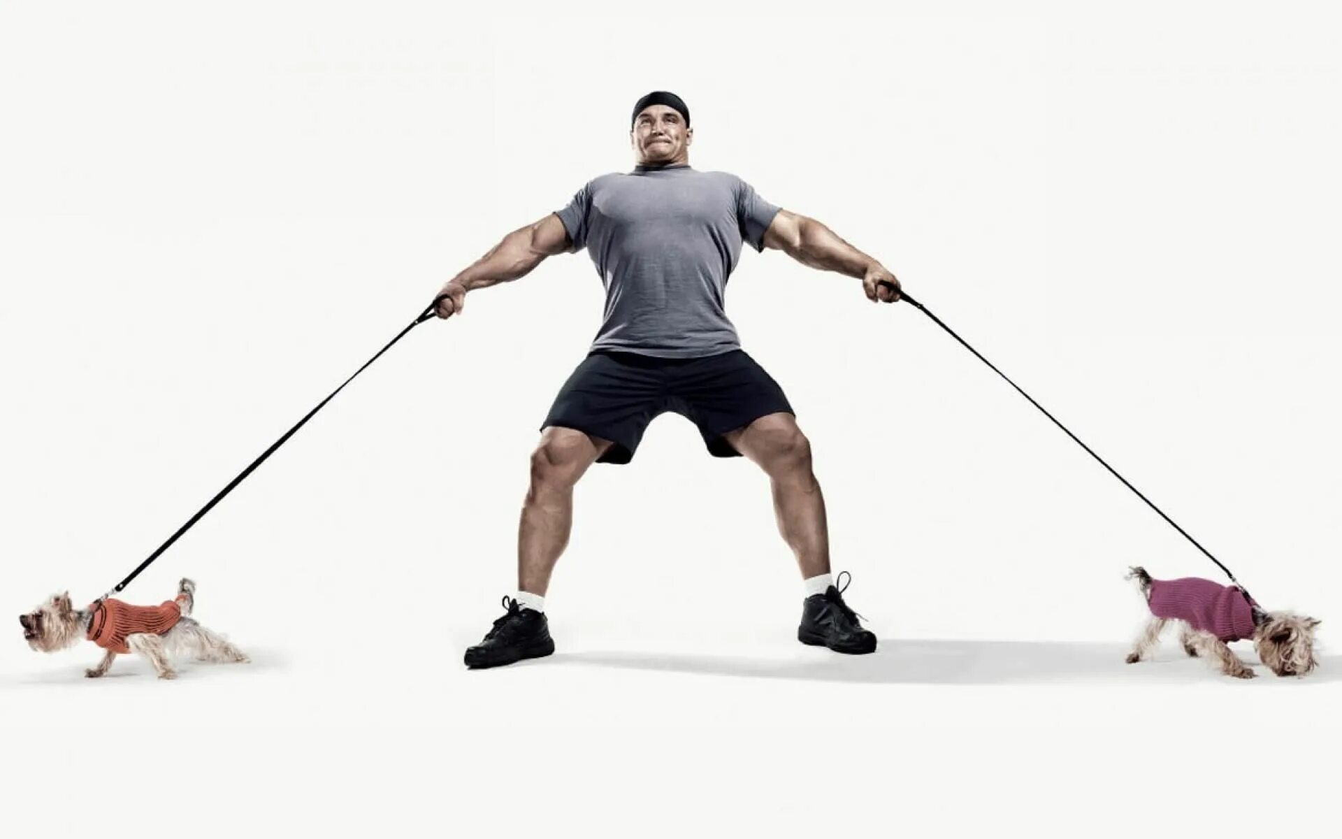 Strong made. Strong made