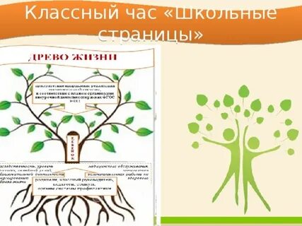 Школа древо жизни