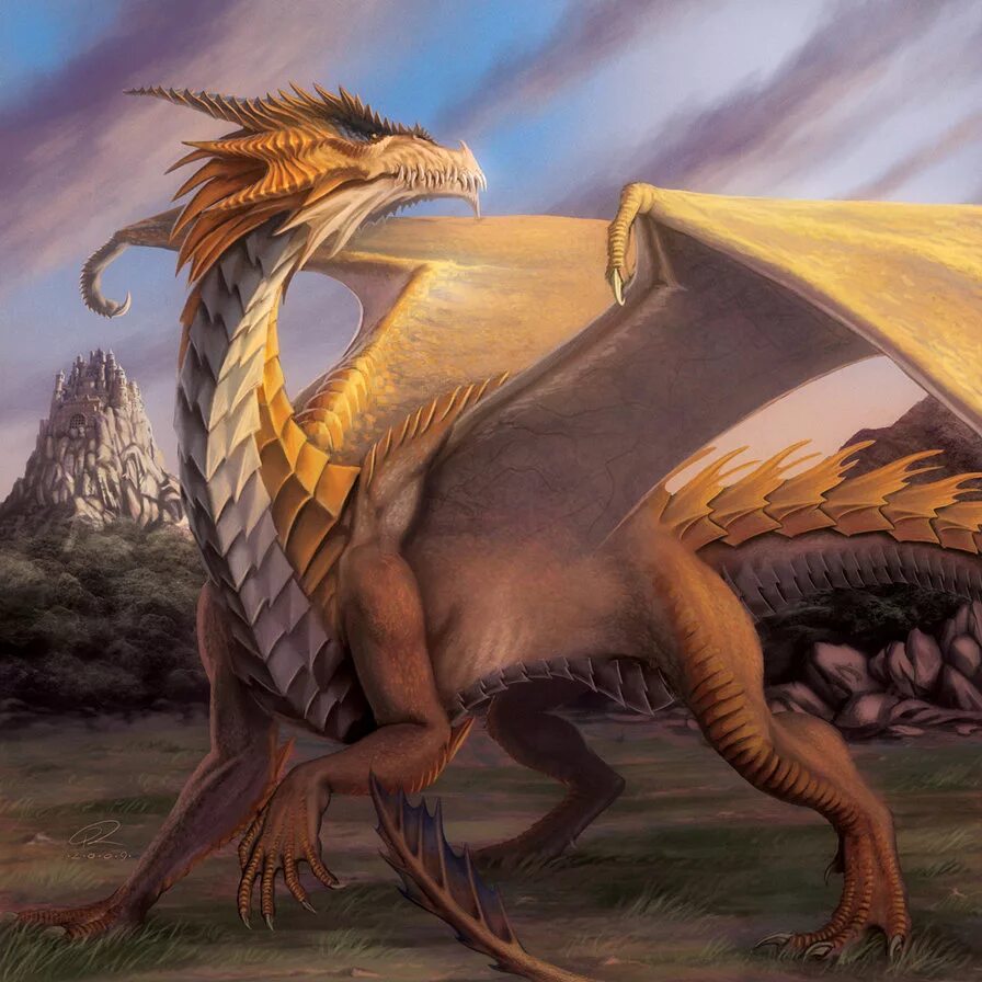 Драгон нест драконы. Dragon moeny. Вермитор дракон. Дракон виверна. Драгон бонс анимация.