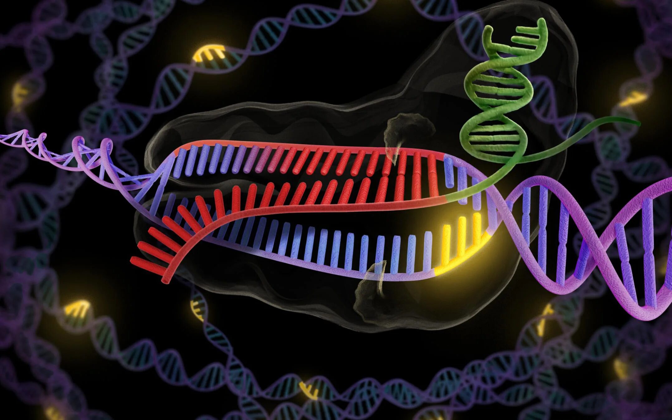 Технология редактирования генов CRISPR/cas9. Редактирование генома с CRISPR/cas9. Редактирование Гена CRISPR‐cas9. DNA CRISPR CAS 9.