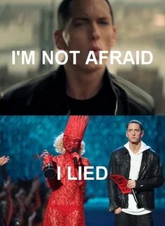 Does not afraid
