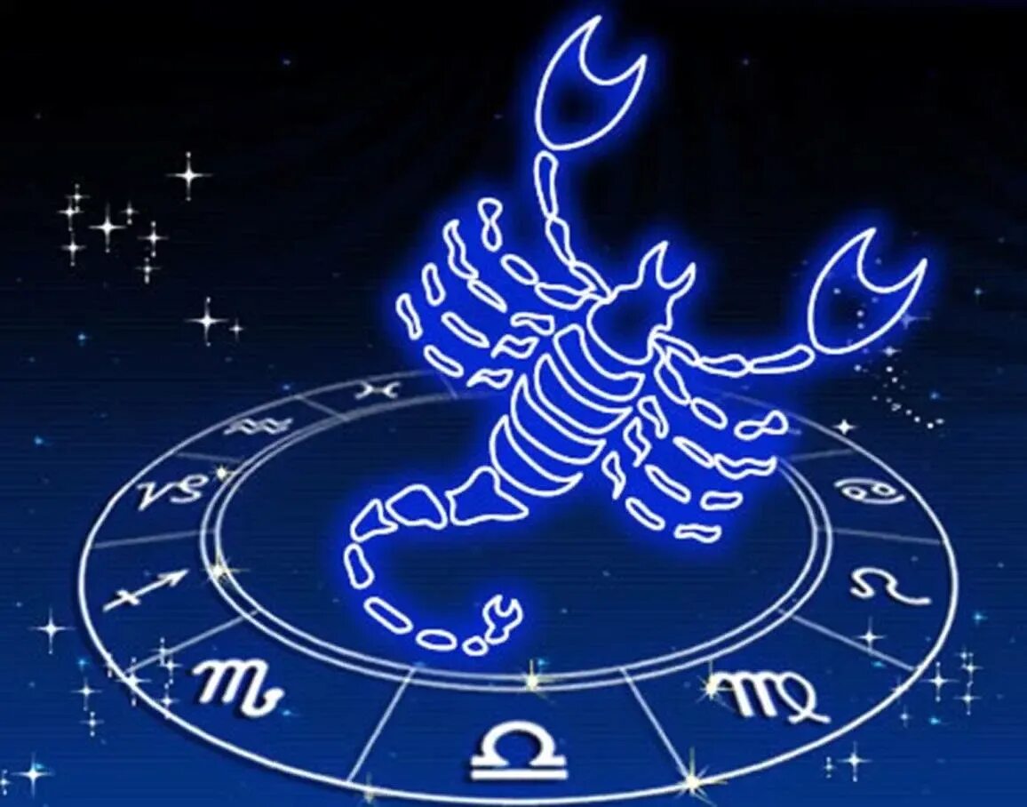 Скорпион зодиак цвета. Скорпион horoscope. Скорпион. Цвет скорпиона. Знак зодиака скорпион.