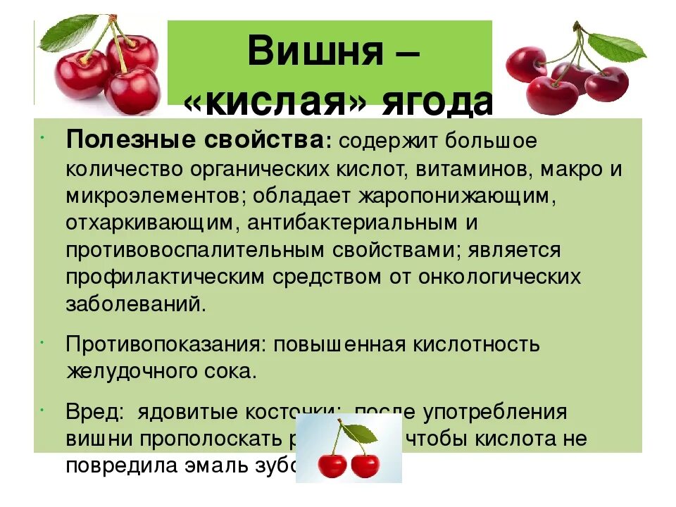 Польза черешни. Вишня полезные свойства. Чем полезна вишня для организма человека. Полезность вишни для организма человека. Витамины в вишне.