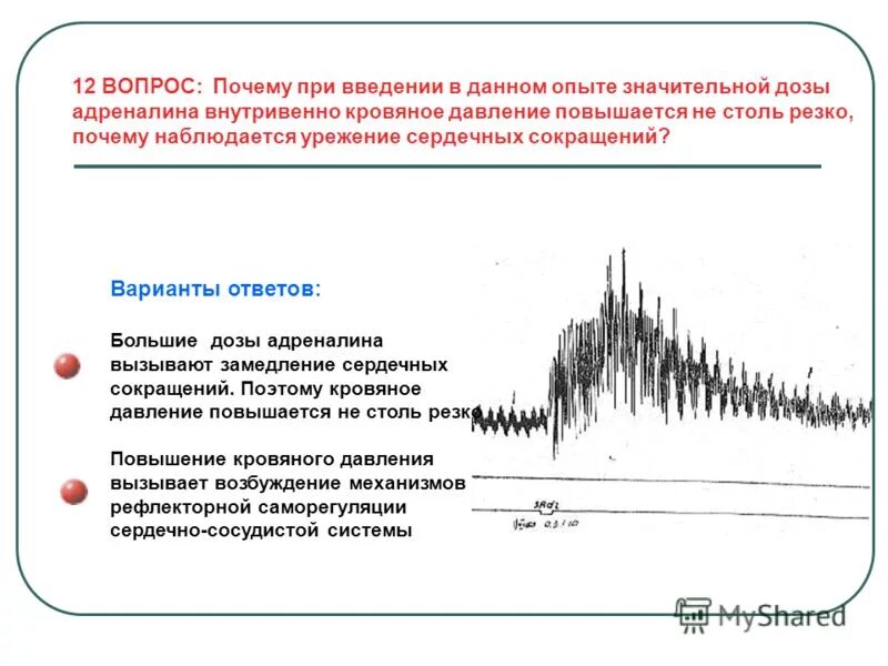 влияние адреналина на сердце. почему при введении адреналина повышается ад. адреналин снижает давление. действие адреналина на сердце. адреналин при высоком давлении.