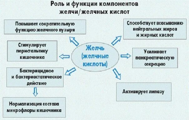 Три функции желчи в пищеварении. Функции компонентов желчи. Желчь функции в организме. Функции желчных кислот в организме. Роль компонентов желчи..