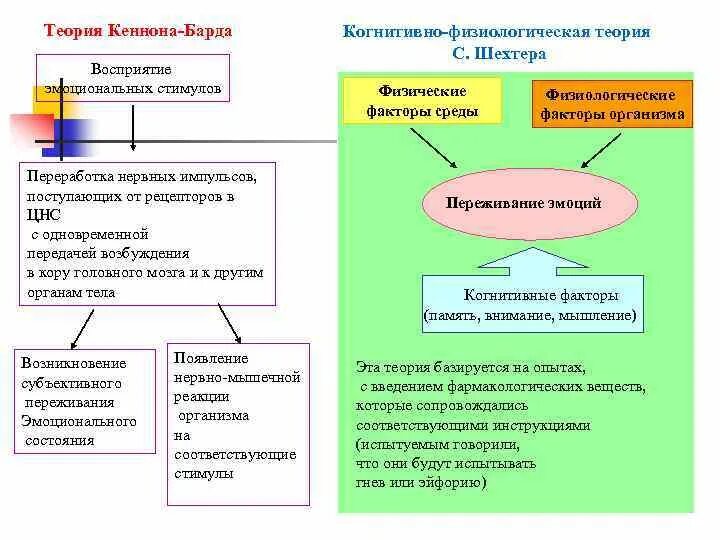 Кэнон бард теория эмоций. Теория джемса-ланге и кеннона-барда. Ланге. Теория эмоций кеннона. Таламическая теория эмоций.