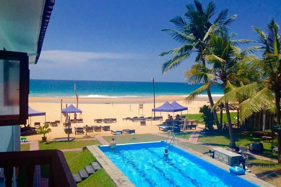 Лучшие отели хиккадува шри. Eden blue хиккадува. the ocean pearl hotel шри-ланка. отели в районе хиккадува бич. отель на шри ланке с черепахами hikkaduwa 4.