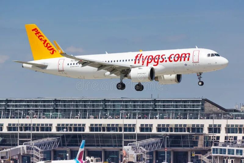 Pegasus airlines зарегистрироваться. Аэробус а320 пегасус. pegasus airlines airbus-320. pegasus a320neo. airbus a320neo pegasus.