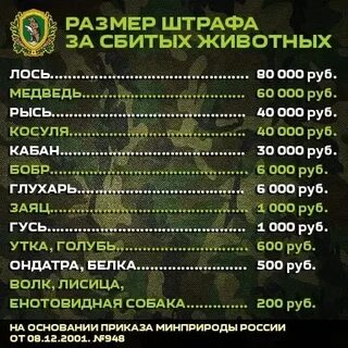 Штраф за отстрел