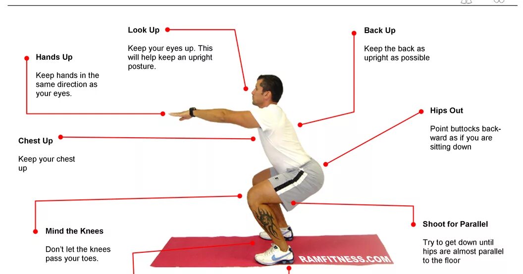 Call me for squats. Глубокие приседания анатомия. landmine squat упражнение. distribution of body mass squat. squats anatomy.