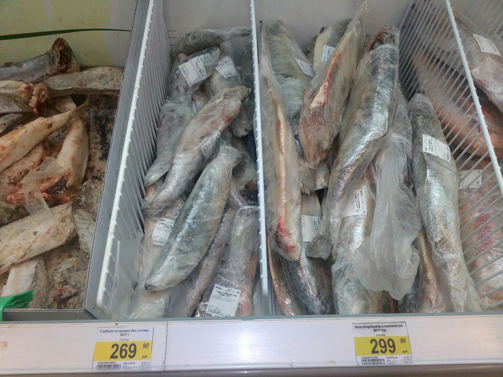 Где купить недорого рыбы. Самая дешевая рыба в магазине. Самая дешевая мороженная рыба. Самая дешевая рыба в России. Самая дешевая рыба настоящая.