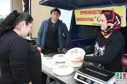 Погода эрпели