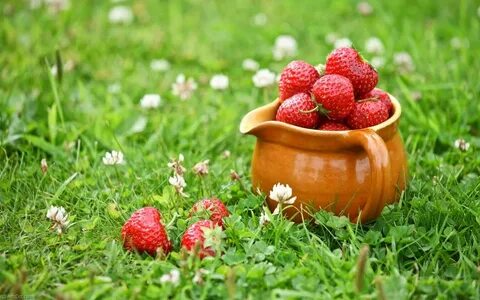 Картинки лето на рабочий хорошее качество