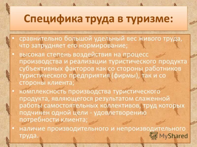 Рынок труда особенности рынка труда. Специфика труда детей. Особенности трудового законодательства в работе вожатого. Характеристика рынка труда. Особенности рынка труда.