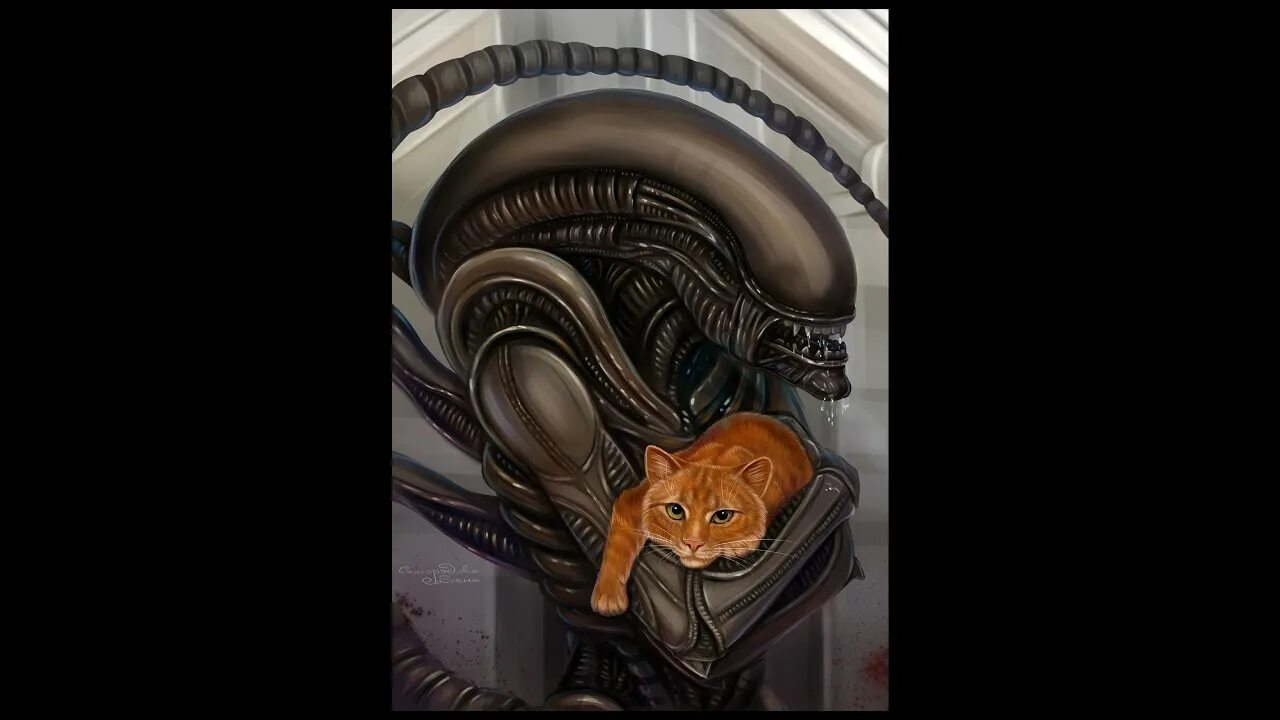 Кот копает. Чужой кот ходит на участок. Чужой кот ходит на участок. Карбыш большой. Чужой кот ходит на участок.