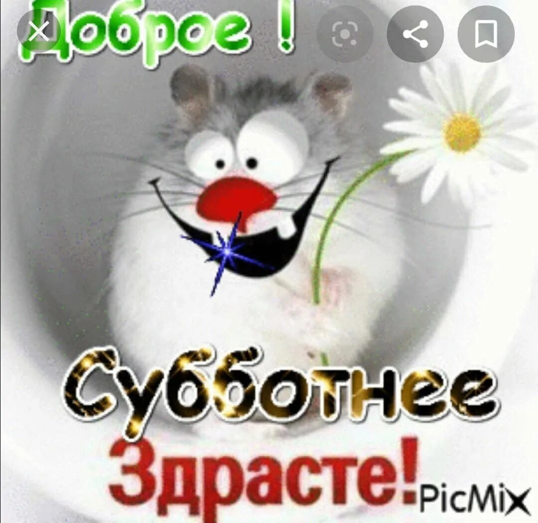 С добром утром рабочей субботы. Пикольныеоткрытки с добрым утром. открытки с добрым утром прикольные. доброе утро субботы прикольные.