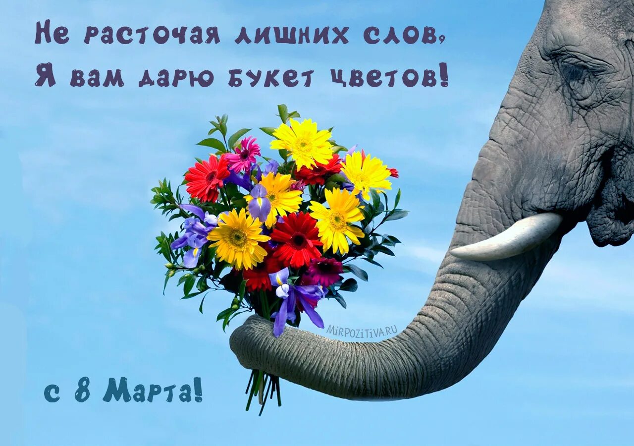 Цветы и животные. Слон с цветами. С днем рождения слон. Слоненок с цветами. Картинки лишних слов