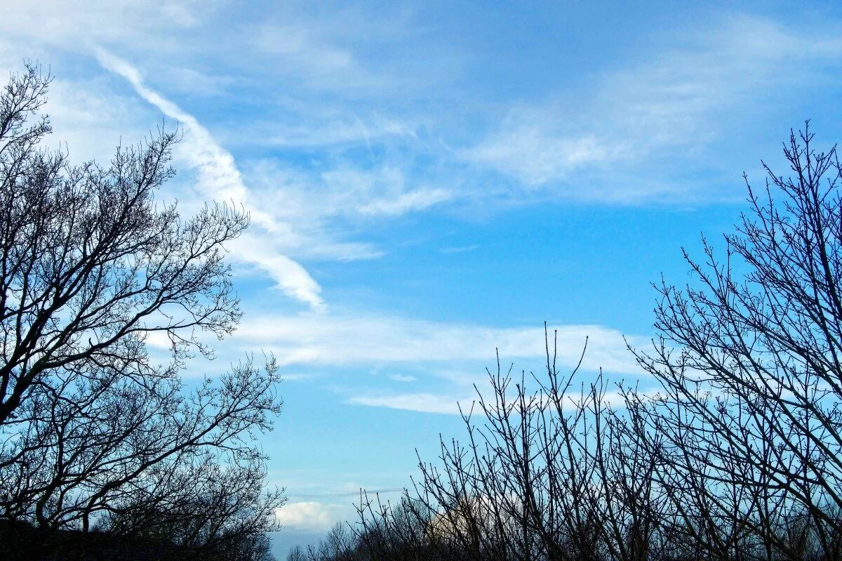 вторник воздуха. прогноз погоды на трое суток окружающий мир впр 4 класс.