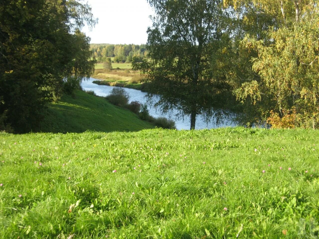 Поляна в лесу. Полянка среди леса. Лесная поляна удмуртия. Поляна рядом. Лесная опушка солнечногорский район.