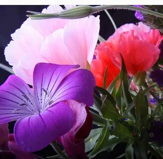 Yourself flowers