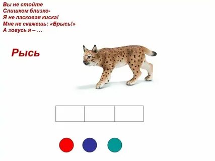 Жираф сколько звуков