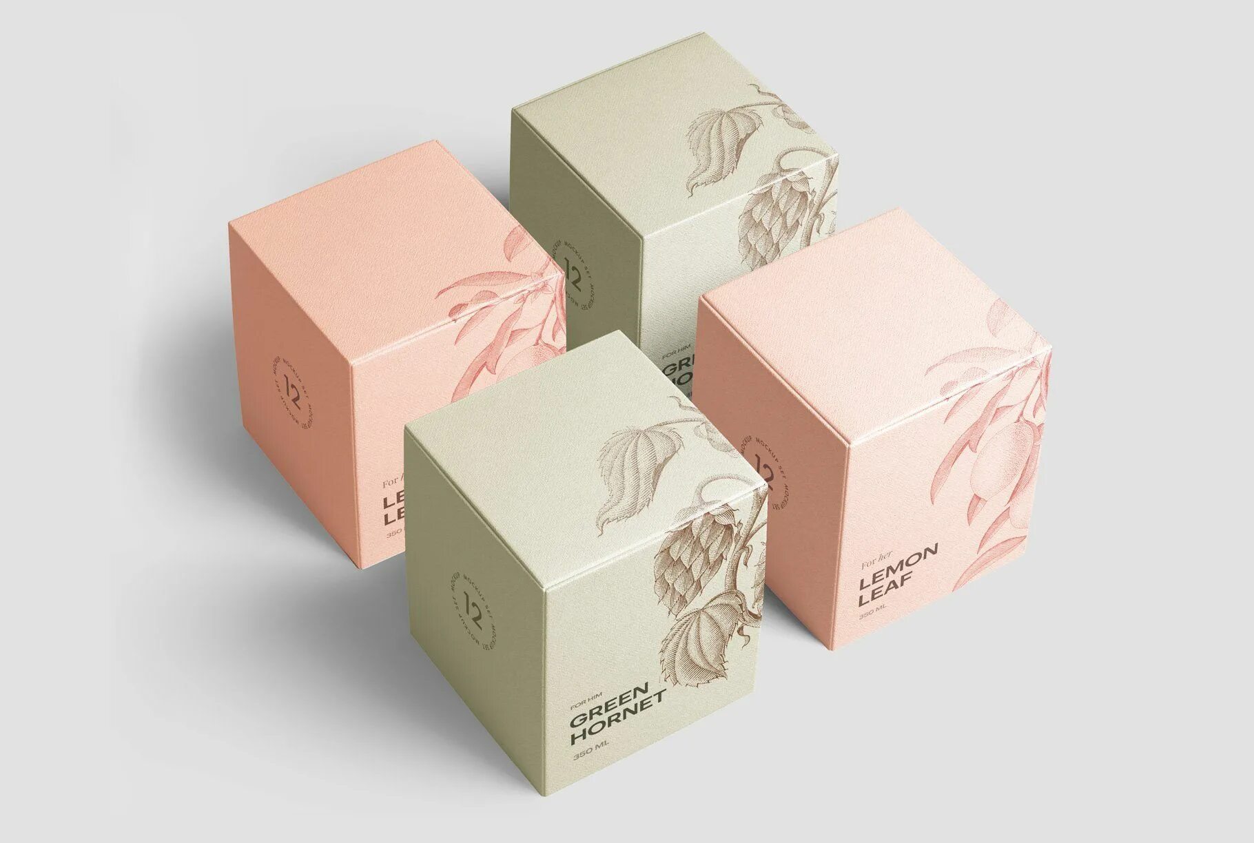 Solution box
