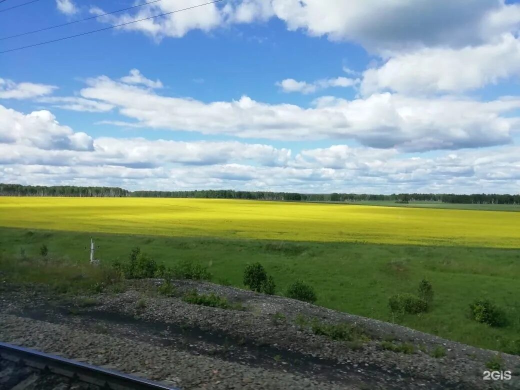 Курундус Тогучинский район Новосибирская область. Село Лебедево Тогучинский район Новосибирская область. Сурково Тогучинский район Новосибирская область. Аплаксино Тогучинский район. Погода в курундусе