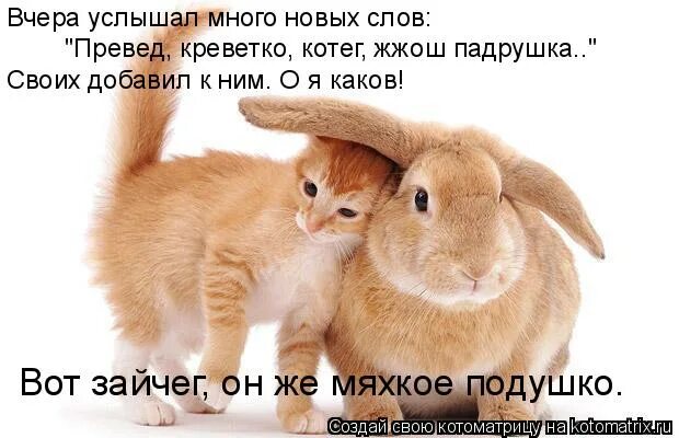 Ухо слух. Оторин капли. Мадам, я вчера слышал ваше пение. Вчера услышала очень интересную поговорку. Слышать вчера.