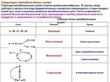 Биохимия примеры