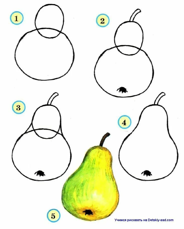 Поэтапное рисование фруктов. Пошашаговое рисование для детей. Пошаговое рисование фруктов. Поэтапное рисование груши. Поэтапное рисование детском саду
